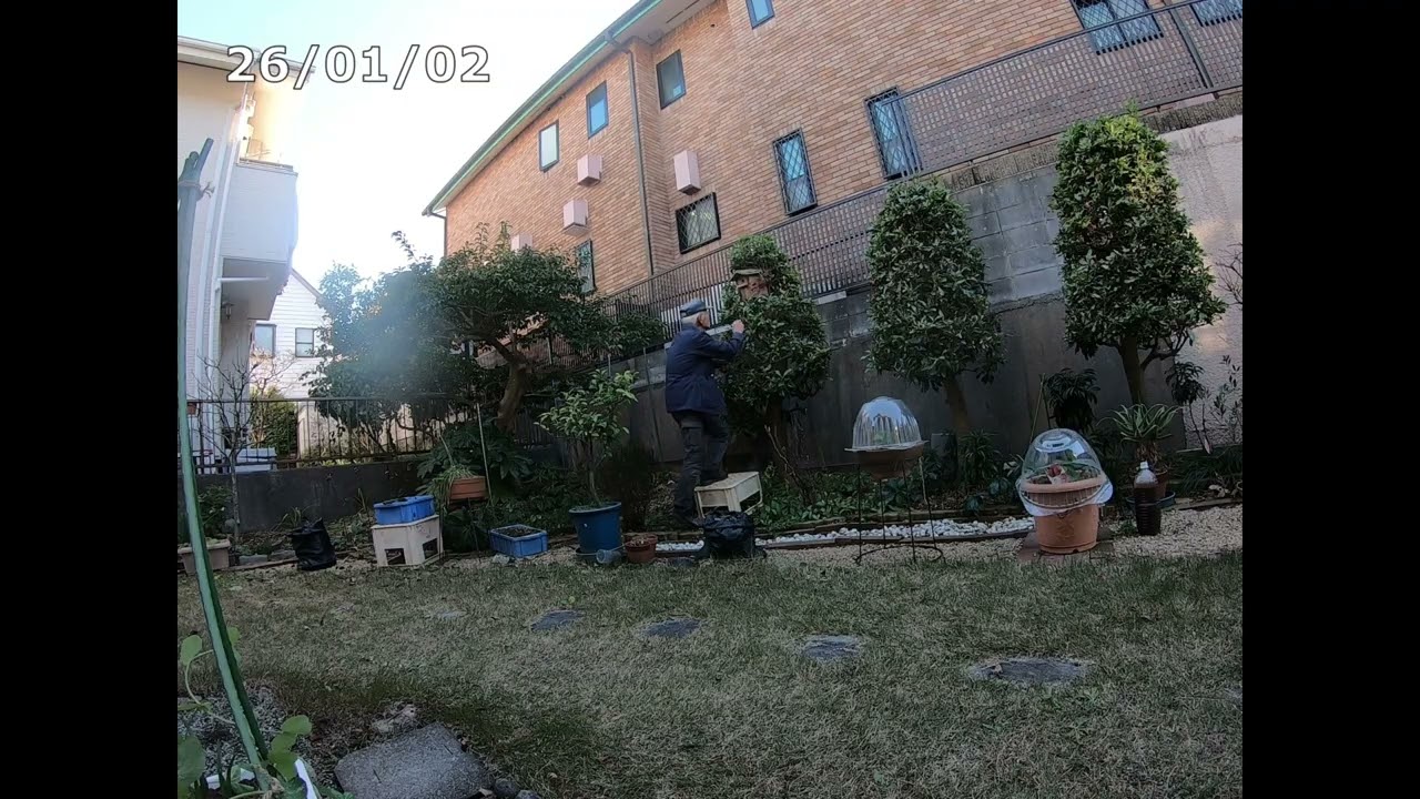 【畑 de Vlog】260103「巣箱を取り付けました」