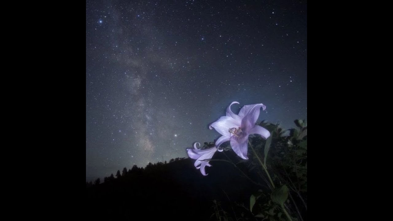 「free for profit」ambient + experimental + angelic type beat 