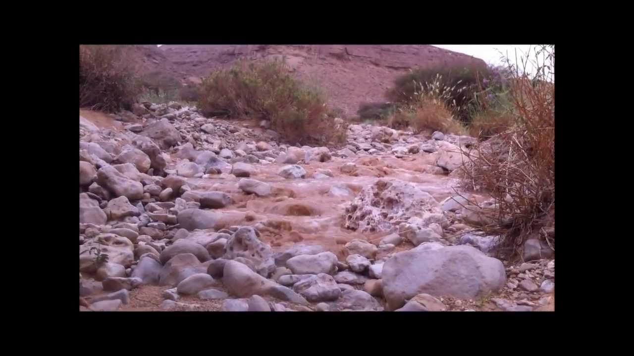 سيول السليل التاريخية لعام 1434 هـ