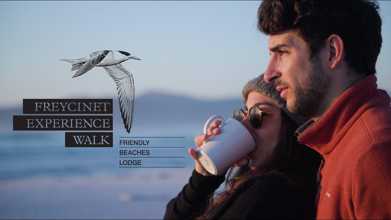 Experience the Untouched Beauty of Freycinet Peninsula | Freycinet Experience Walk
