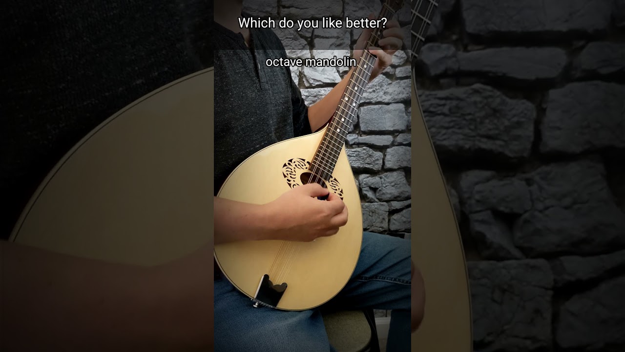 Mandolin VS Octave mandolin shootout #mandolin #octavemandolin #folkinstruments #irishmusic