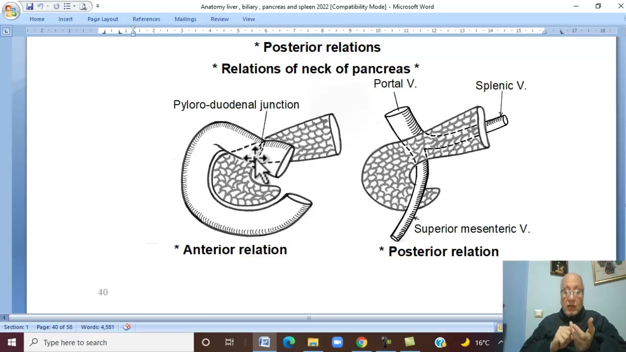 Anatomy GIT Module in Arabic 33  ( Pancreas , part 1  ) ,  by Dr, Wahdan