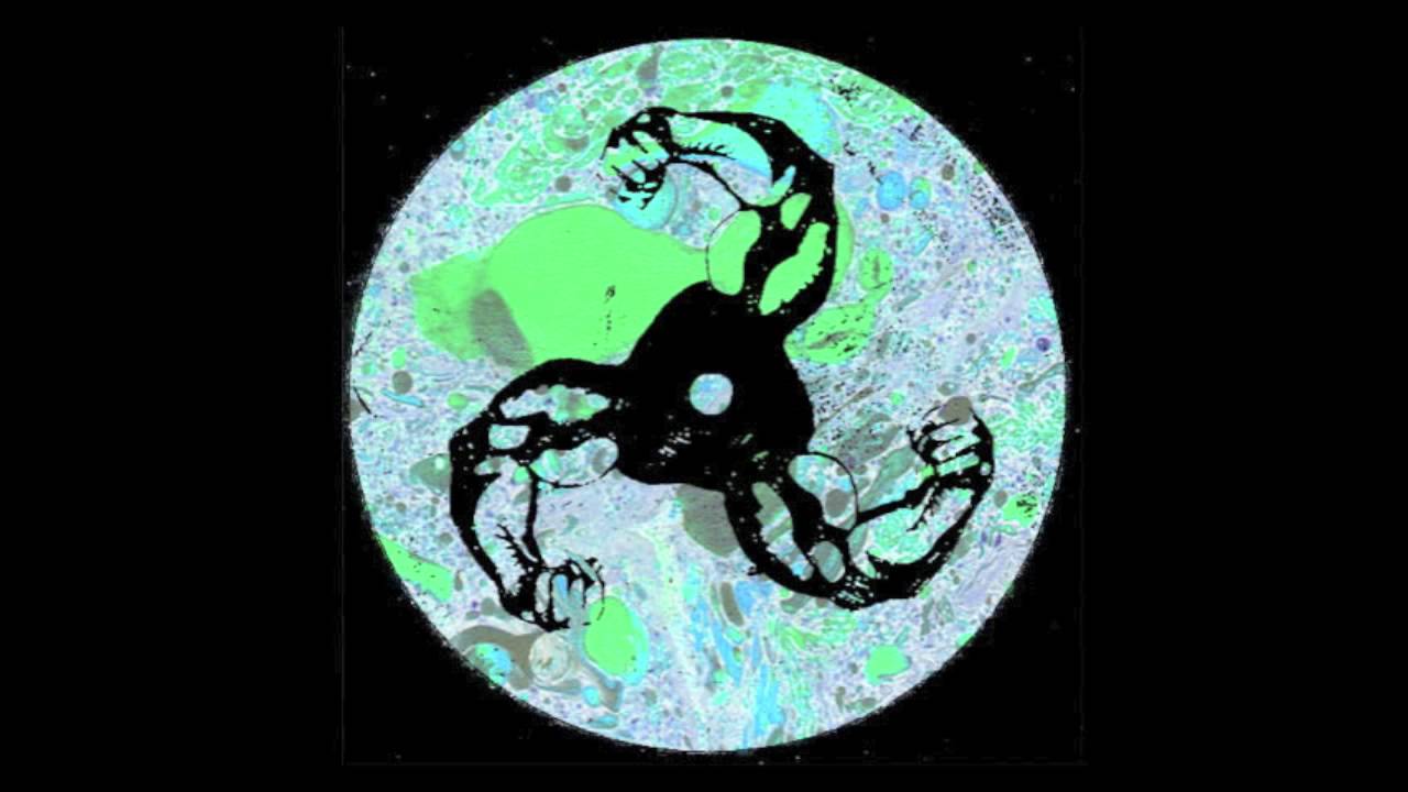 BRUTUS | EXCITATION (INSTRUMENTAL)
