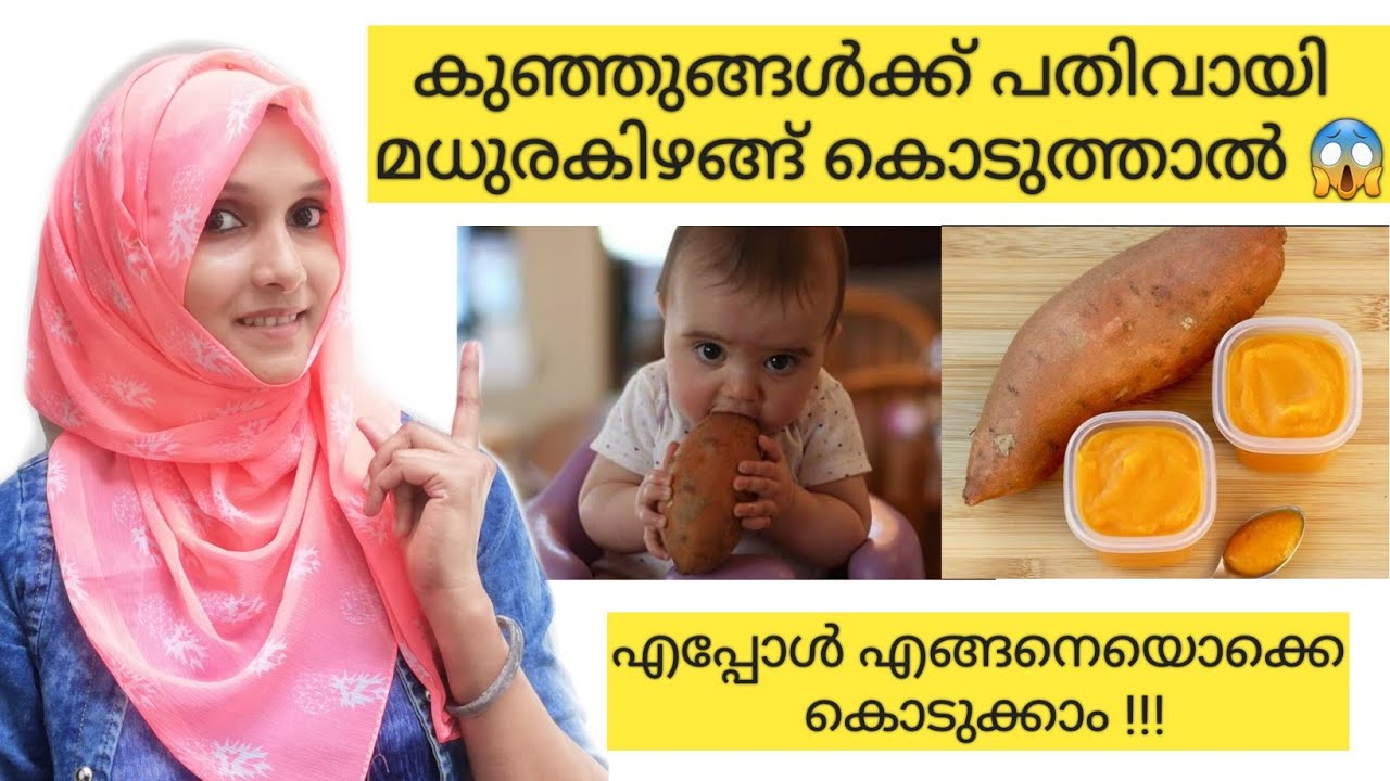 Sweet Potato for Babies and Torddlers Malayalam Izans World