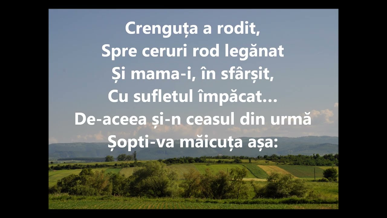 În leagănul ușor (Crenguța primăverii), pian, karaoke, nr. 753, CCC Bacău 2012