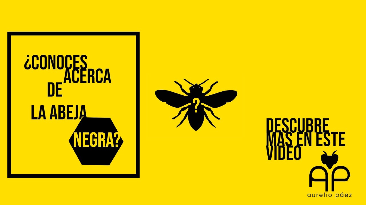 Caracter&iacute;sticas de la abeja negra europea (A. mellifera mellifera L.)