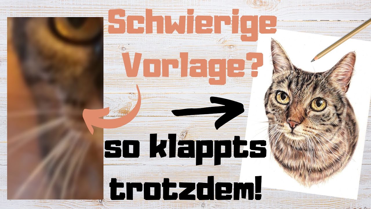 Realistisch zeichnen von einer schlechten / verschwommenen Vorlage - Katze zeichnen