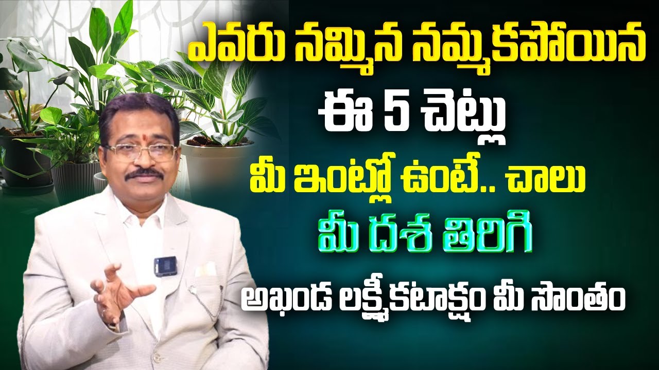 5 Lucky Plants for Home | Lucky Plants For Home |Vastu Plants In Home | Dr Bvssr Reddy | Astro Guru