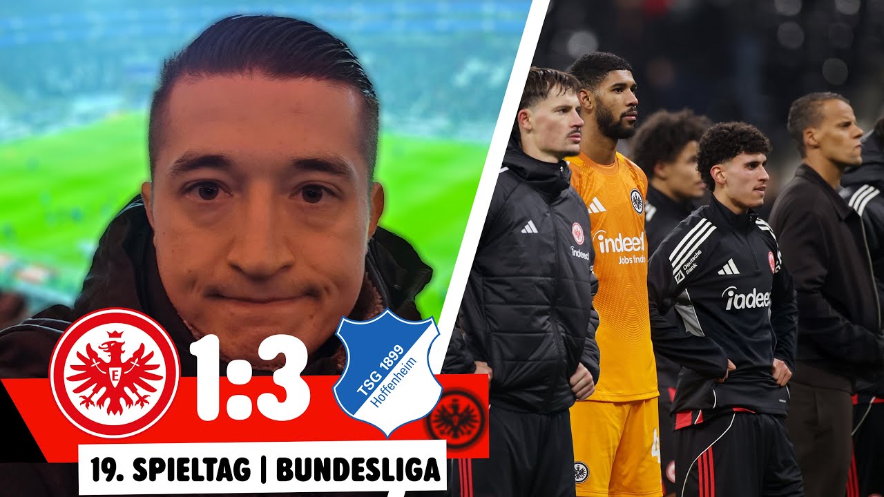 😱SUPPORT EINGESTELLT😱| Eintracht blamiert sich erneut...