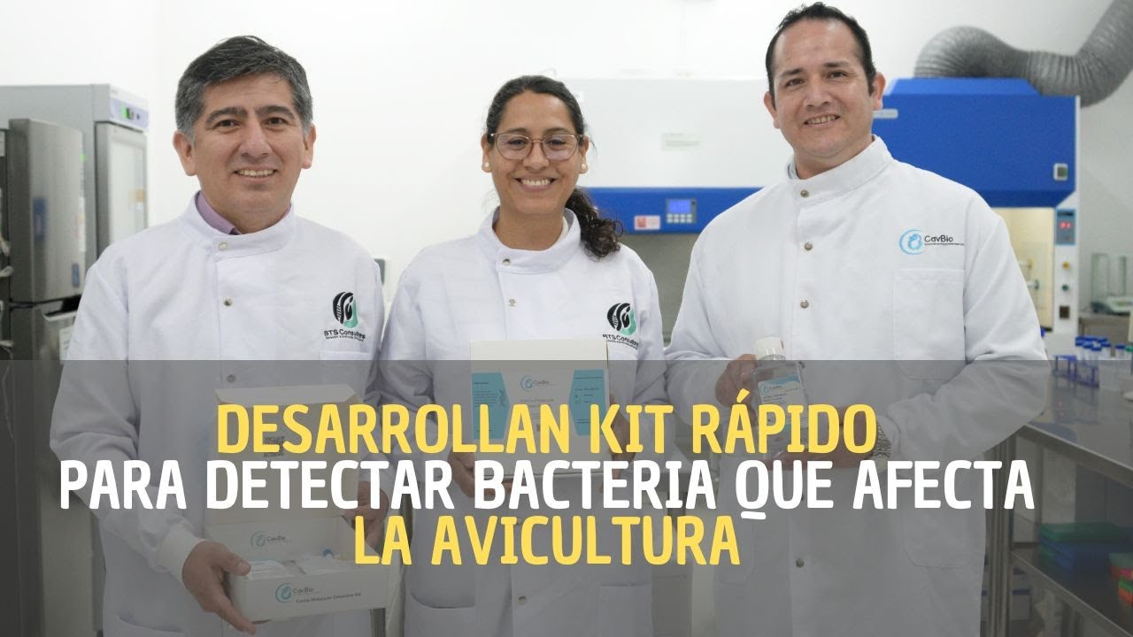 BTS Consultores desarrolla kit rápido para detectar bacteria que afecta la avicultura | ProInnóvate
