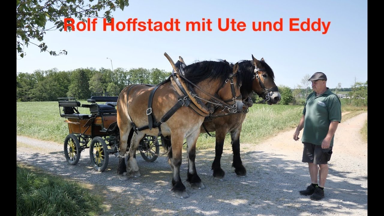 Kutschfahrt mit Ute und Eddy UHD