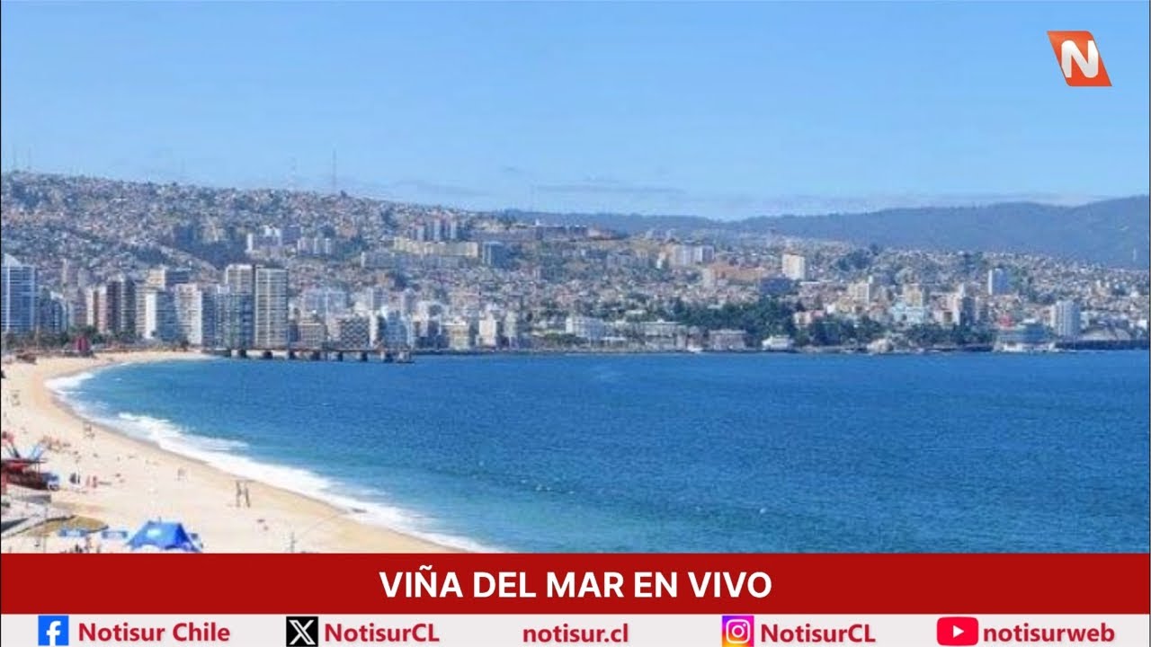 Viña del Mar en directo