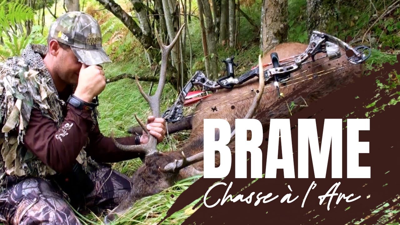 Brame du cerf - Chasse &agrave; l&rsquo;arc dans les Pyr&eacute;n&eacute;es