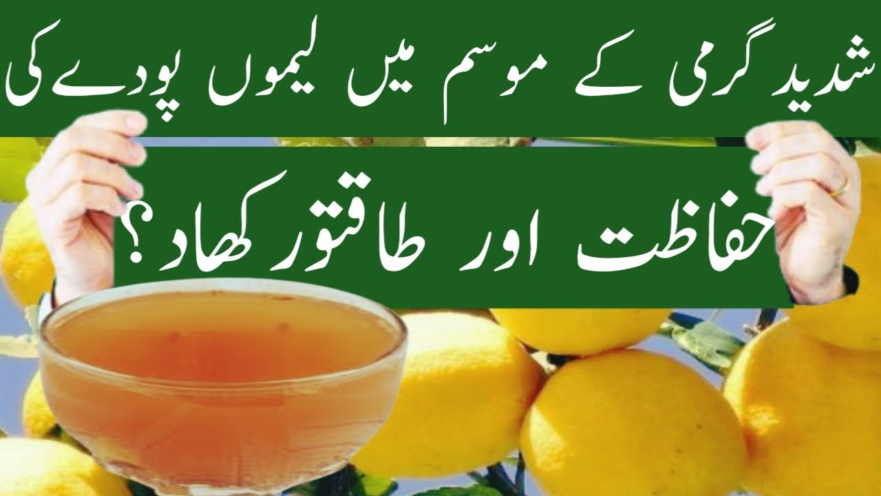 lemon plant care tips |nimbu ke paudhe ki care kaise kare