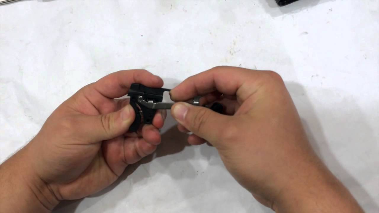 XDS Upgraded  Sear Housing Disassembly