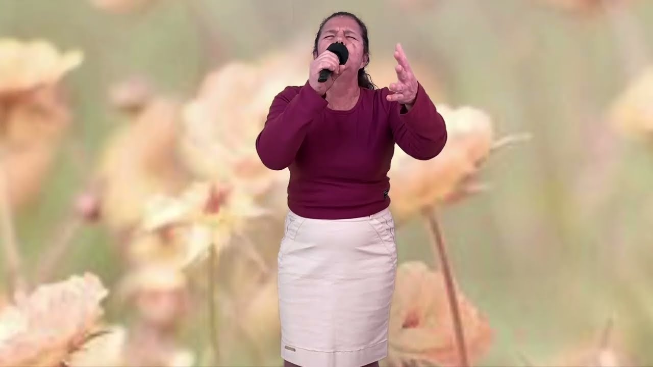 Nilce Pasa - Vai Passar