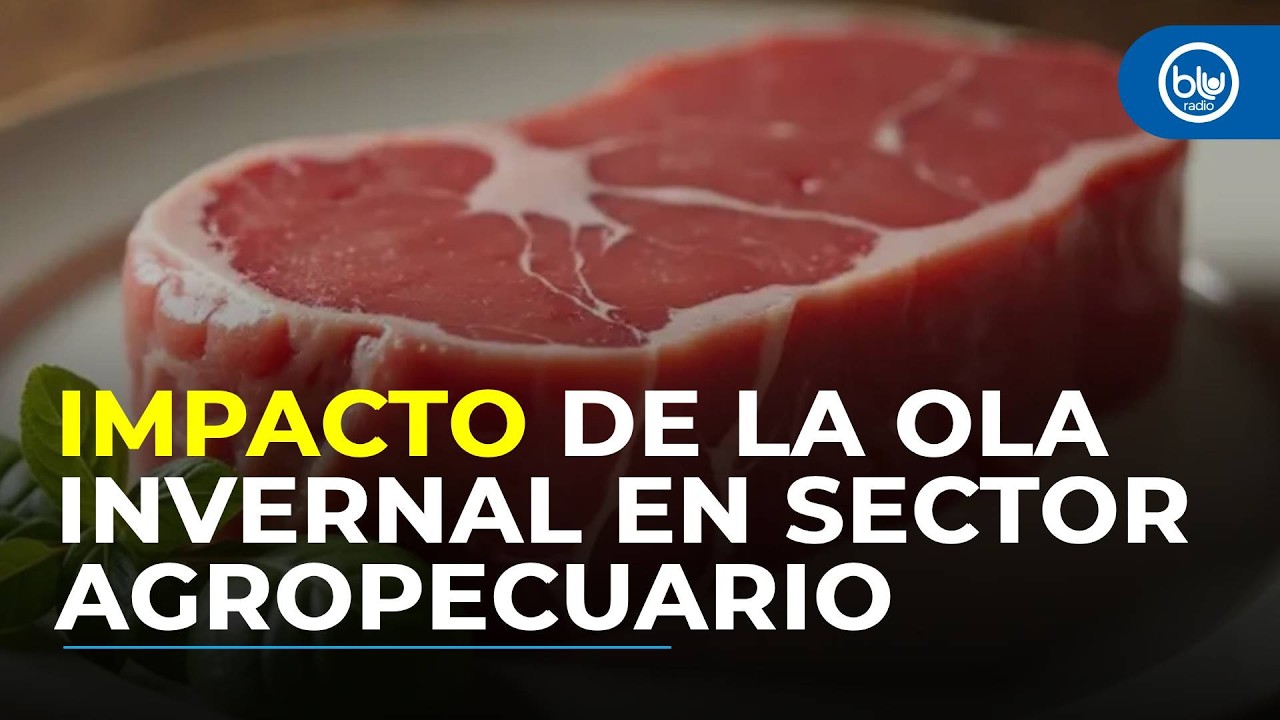 Más de 4.000 reses muertas por ola invernal, ¿subirá el precio de la carne?