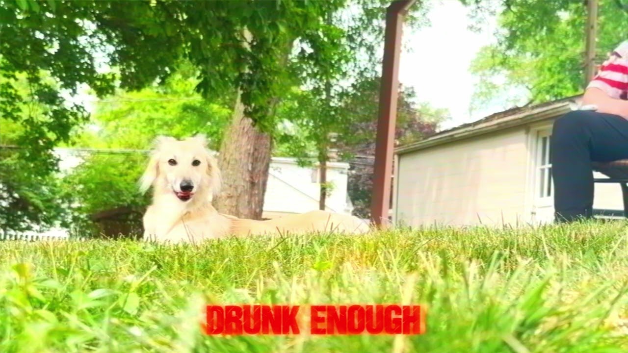 BILMURI - DRUNK ENOUGH (OFFICIAL LYRIC VISUALIZER)