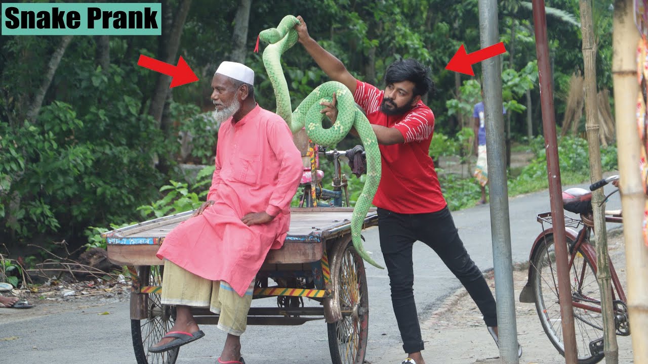 Snake Prank🐍King Cobra Snake Prank By Rk