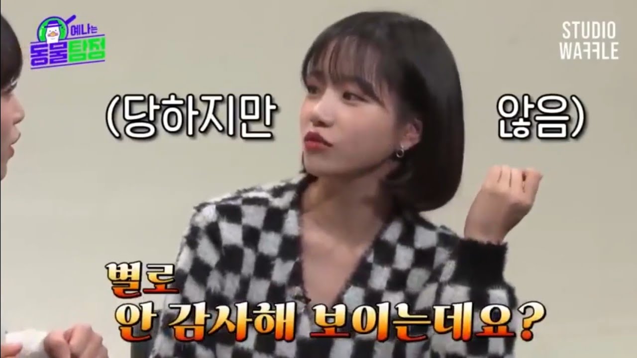 [아이즈원☆조유리] 예나는동물탐정 스페셜 편