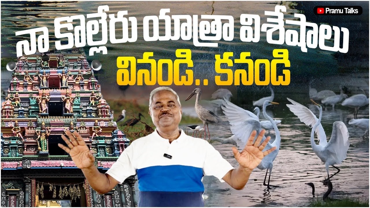 How kolleru Lake became a history? నా కొల్లేరు యాత్రా విశేషాలు|| Dr PrasadaMurthy