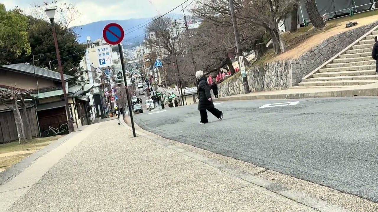 La rue de la ville #japan #travel #animals #town #street 