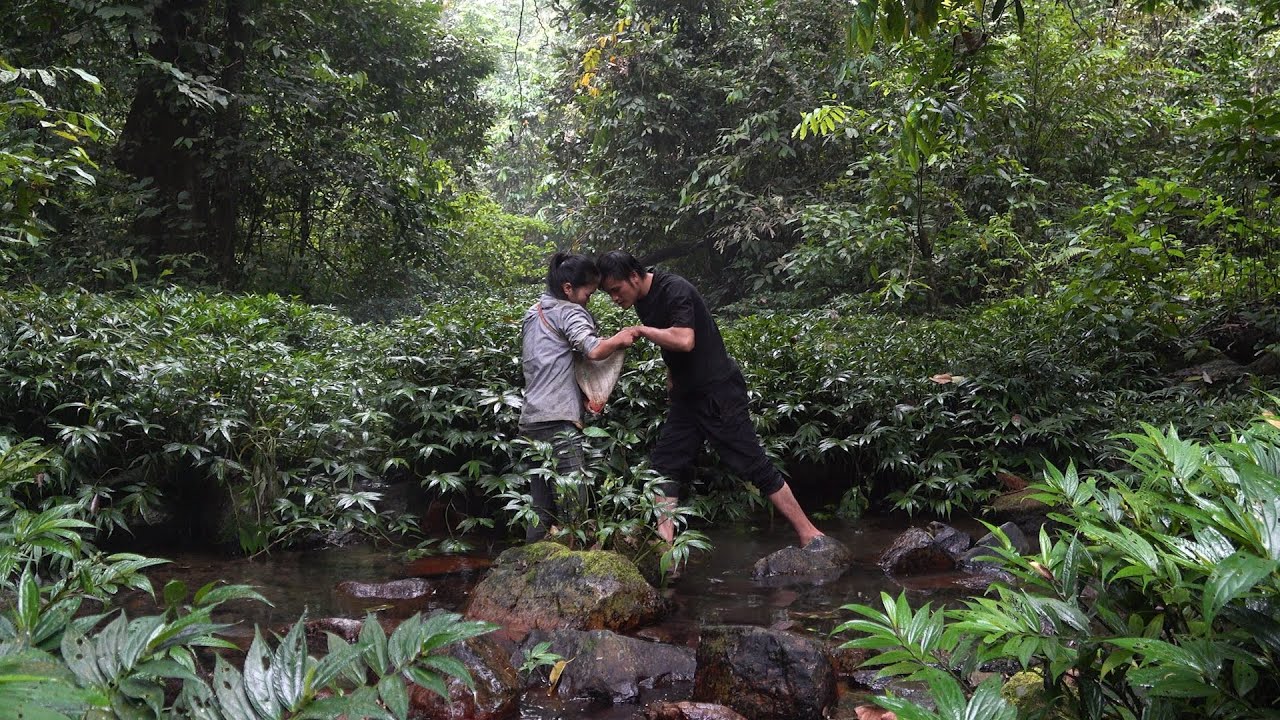 Looking for food on cold, rainy days | Survival Instinct | Episode 16