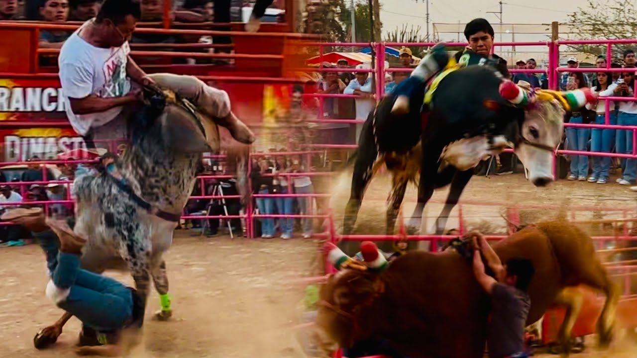 SIN ESPUELAS A PURO VALOR MEXICANO RANCHO SAN JUDITAS SAN JUAN GUELAVIA TORNEO