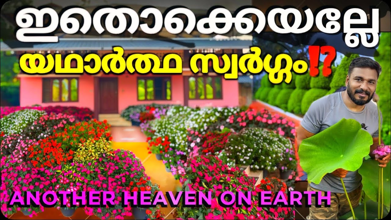 പൂമഴക്കാലം‼️ഈ മഴയത്തും😱ശരിക്കും അത്ഭുതപ്പെട്ടുപോയി ഈ പള്ളിയുടെ മുറ്റം കണ്ടപ്പോൾ🍃🥰🍃