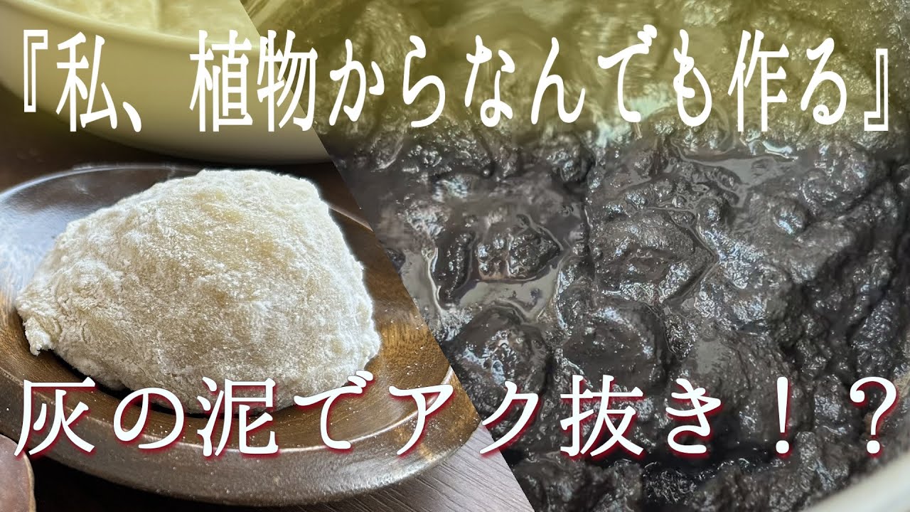 灰と水でアク抜き!?｜トチの実から作る昔ながらのトチ餅（自然派手仕事）