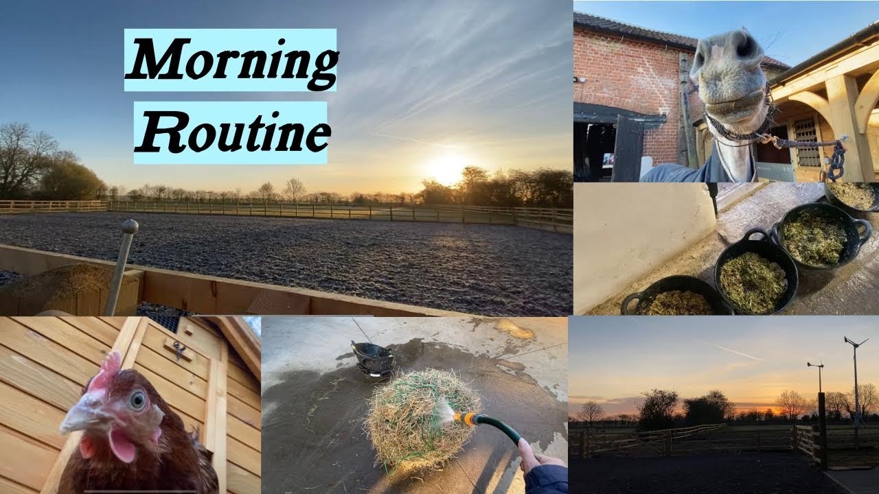 MORNING ROUTINE | Vlog