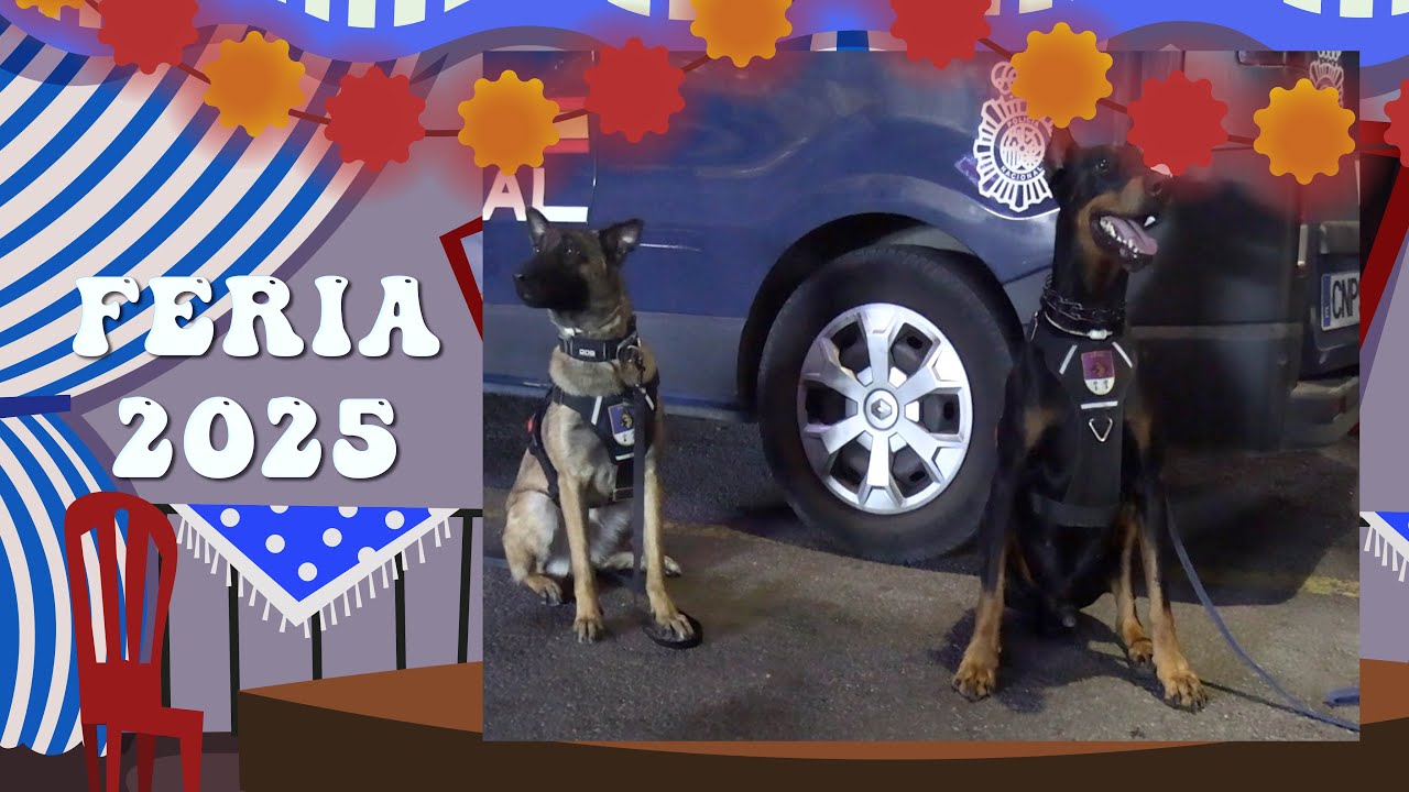 Así trabaja la Unidad de Guías Caninos de la Policía Nacional en la Feria
