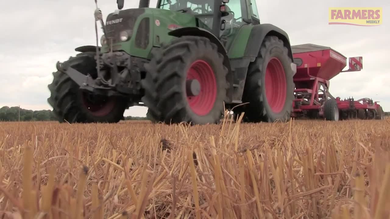 Harvest 2017: OSR companion crop drilled as rain stops wheat harvest