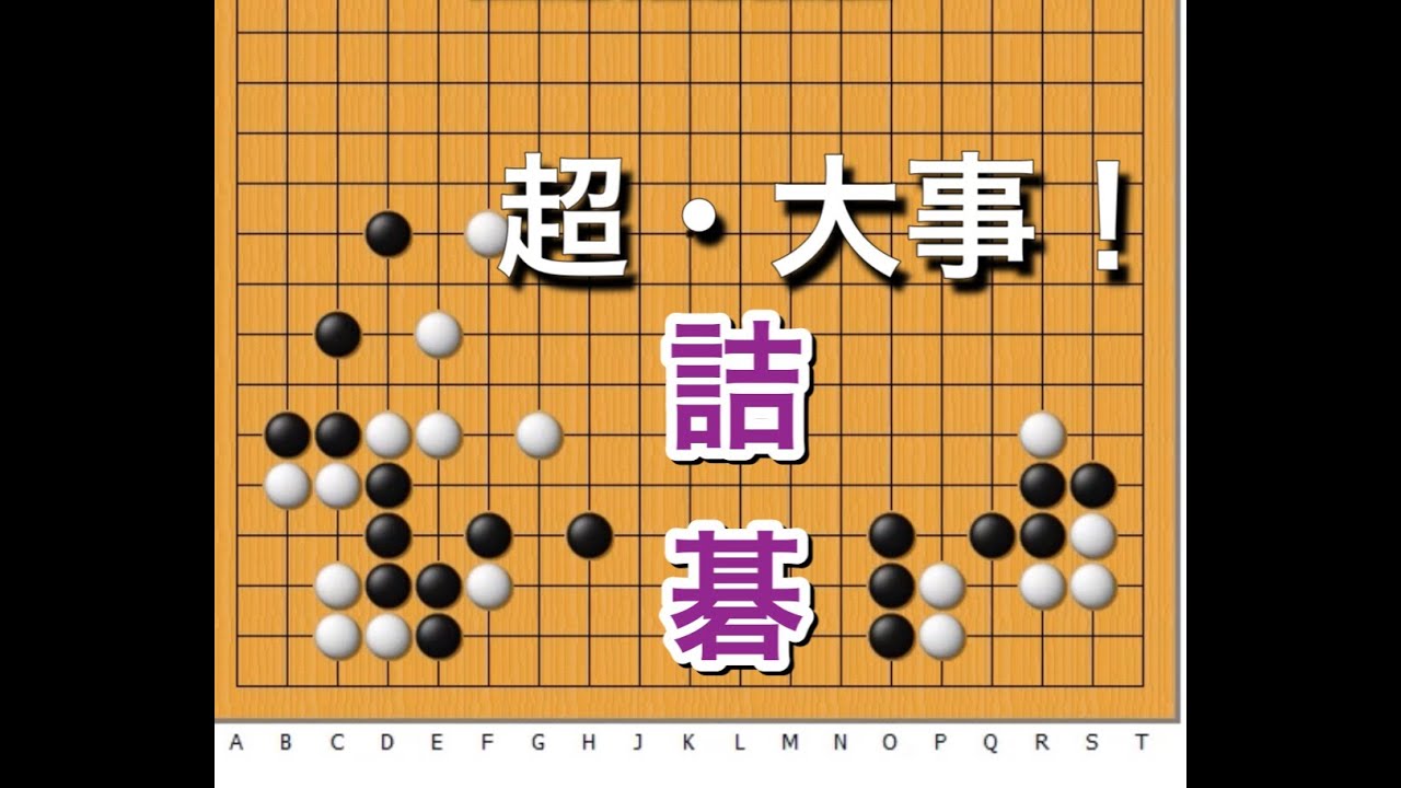 【囲碁】定石その後の無理を撃退～詰碁編～超頻出型～No205～
