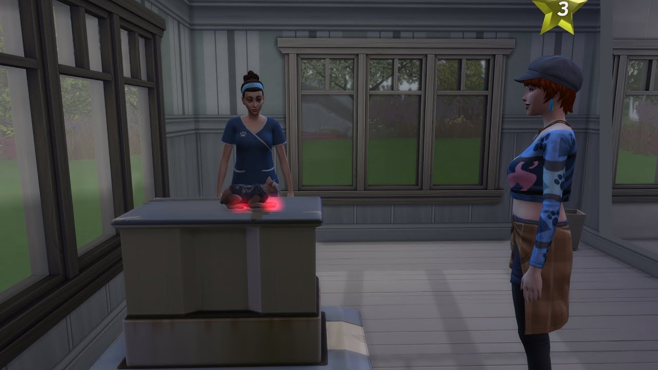 WIR KAUFEN DIE TIERKLINIK #31 DIE SIMS 4 - HUNDE UND KATZEN - Let's Play The Sims 4