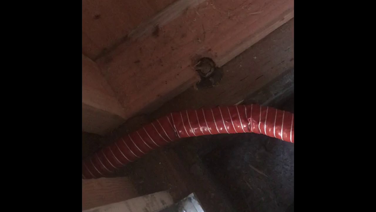 Installing a generator exhaust extension through the wall of a shed