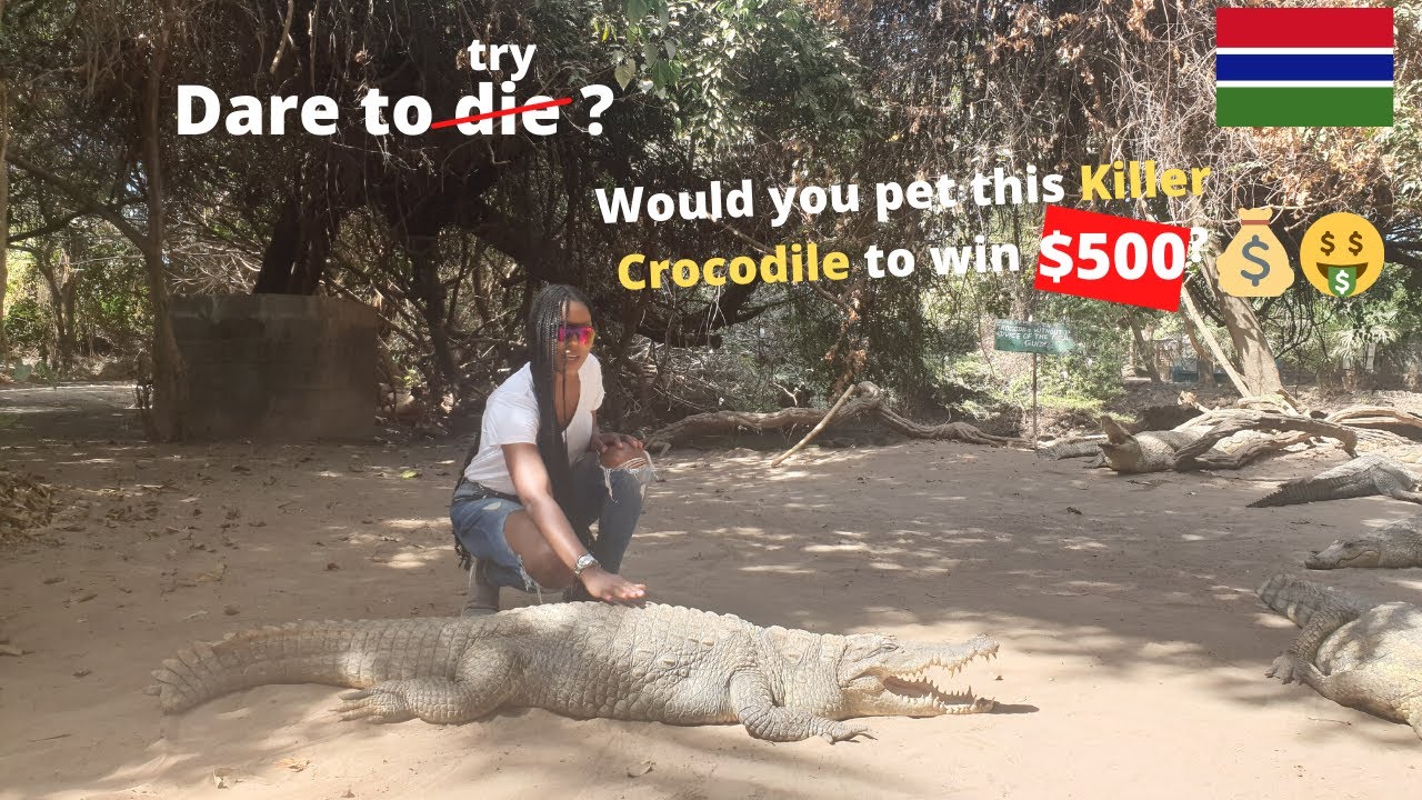 This African Country allows you to pet KILLER CROCODILES to sleep ! Would you dare ???