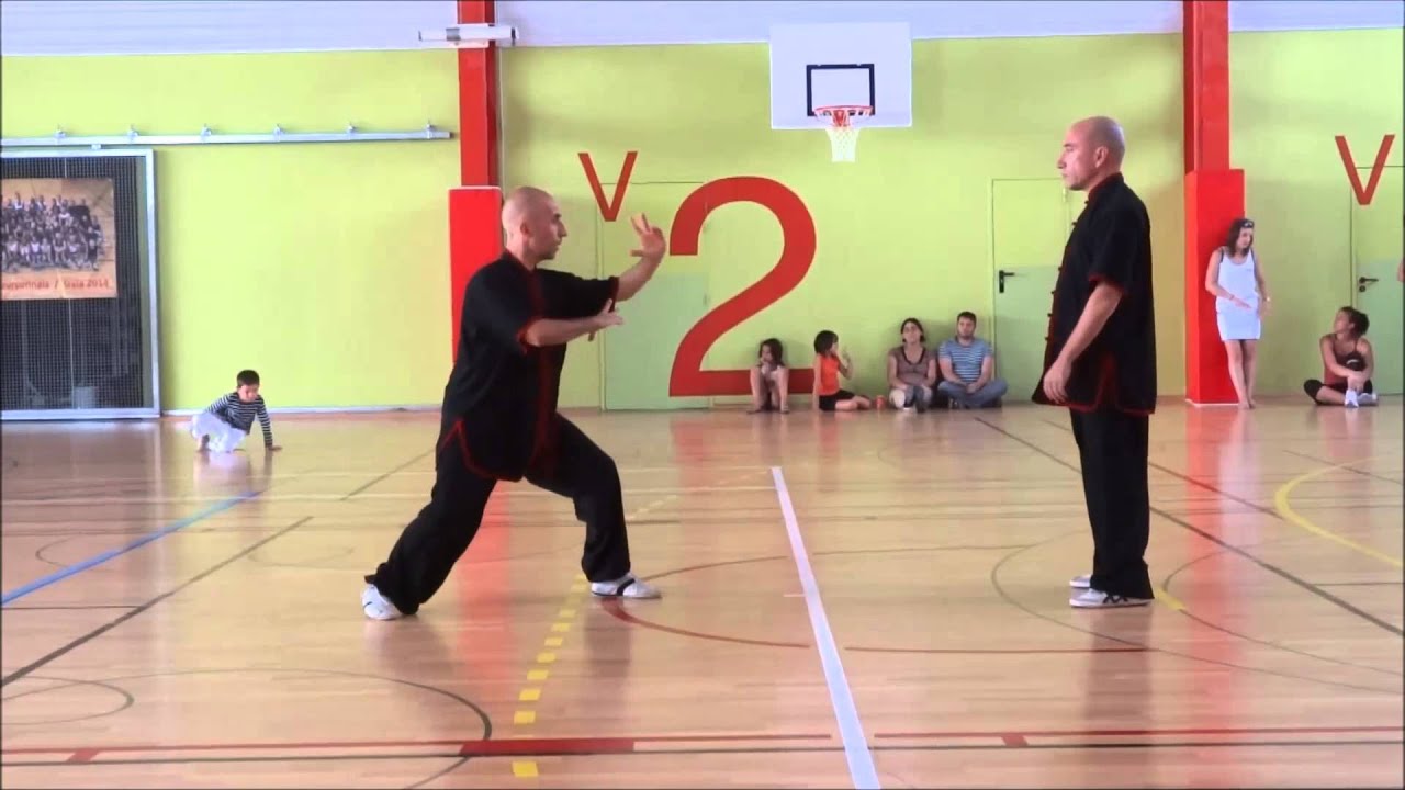 Démonstration de Qi Gong - Taiji - Bagua - Boxe Interne Chinoise_13 et 14/09/2014