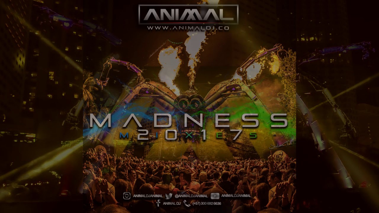 Madness 18 - Animal Dj (www.animaldj.co)