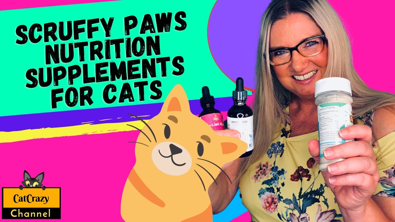 How to help your cat live a long healthy life - 😻 CatCrazy