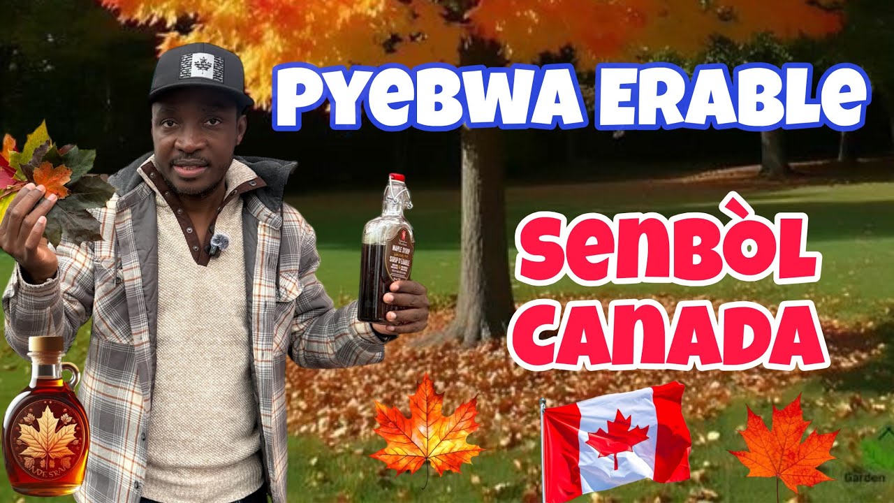 Tout sa w pat konnen sou Pyebwa ki rele &Eacute;rable la