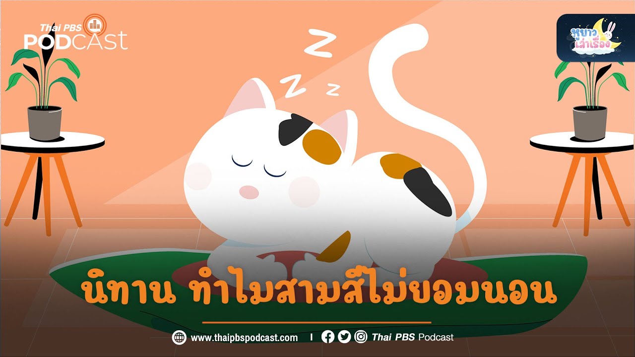 นิทาน ทำไมสามสีไม่ยอมนอน | หูยาวเล่าเรื่อง