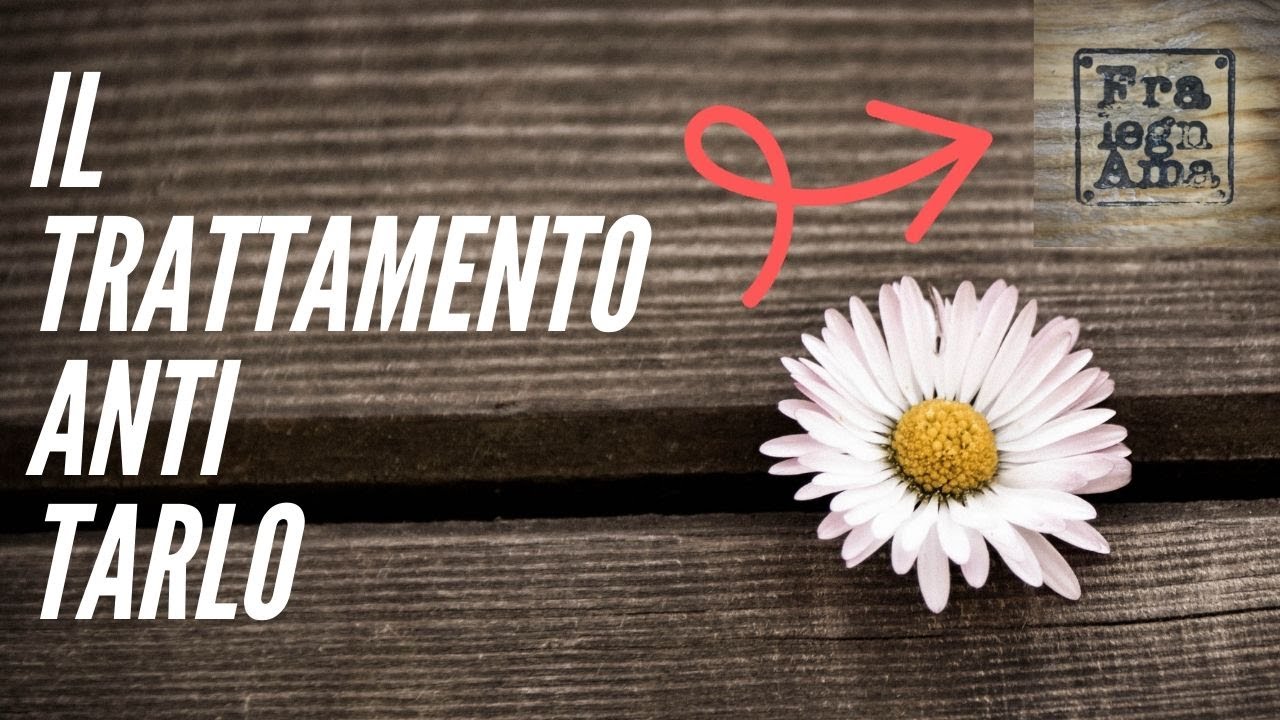 Il Trattamento Anti tarlo, come eliminare i tarli in maniera semplice.