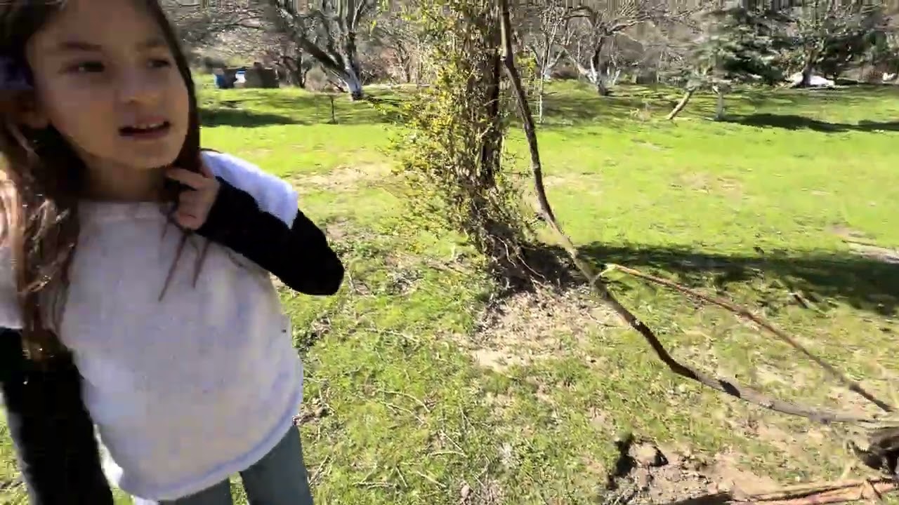 Nil Ateşi doyuruyor ve sonrasında orman gezisi