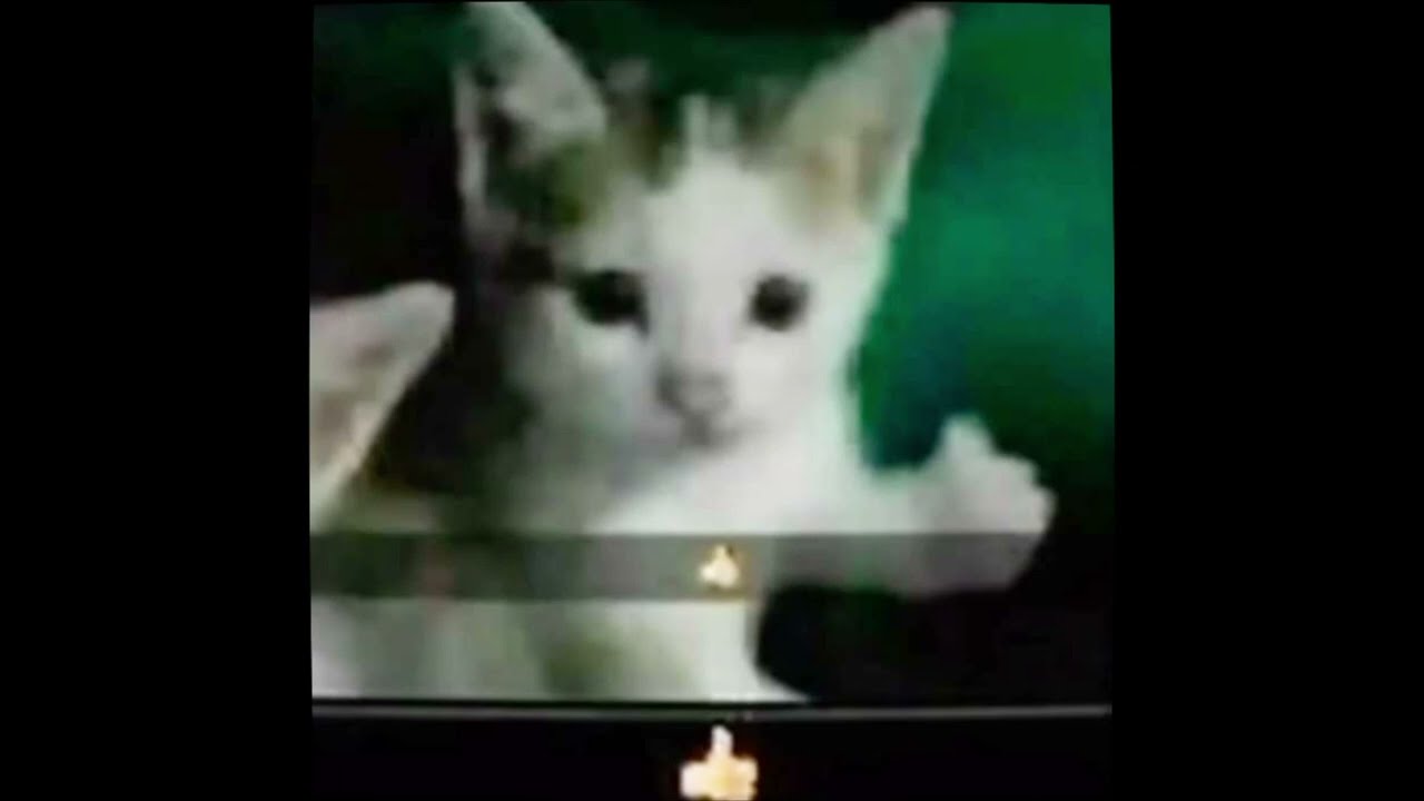 👍