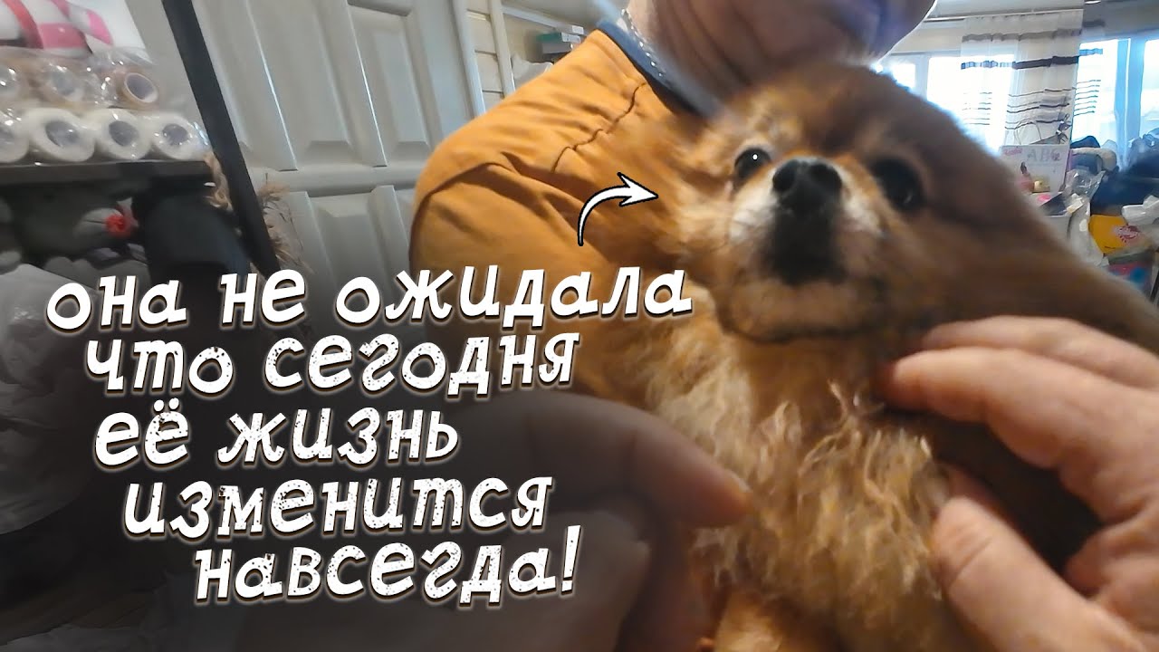 Какое счастье, что теперь она...