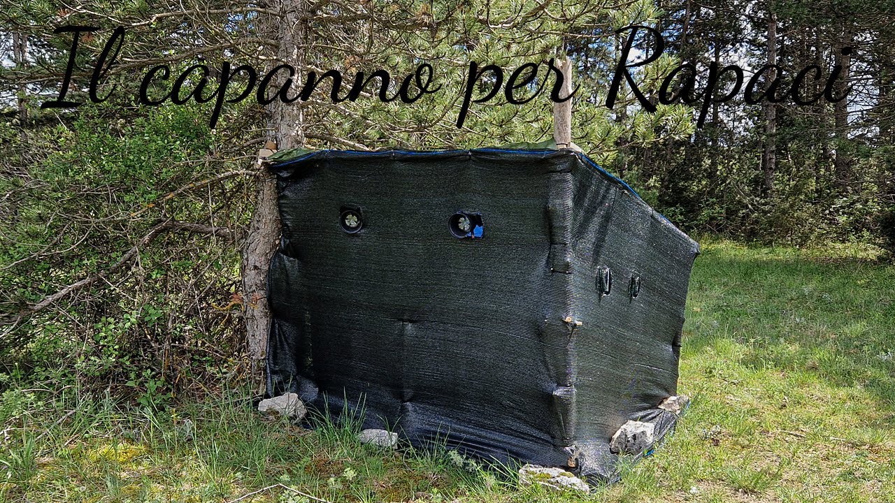 Fotografia Naturalistica - Il capanno per rapaci | Come avvicinare la Poiana | Parte 1\3