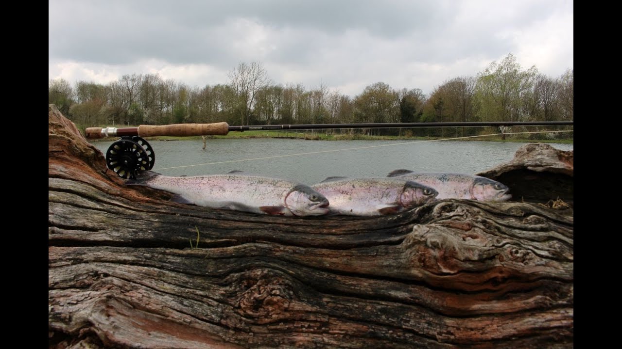 Did we catch lot's of trout today!?