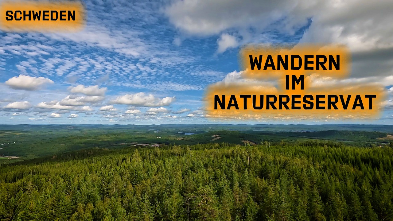 Wandern in Schweden | Naturreservat bei Hagfors | Erste große Runde mit Kindern