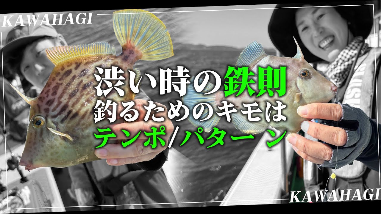 【船カワハギ開幕】今年のカワハギを調査！渋い時でも釣るテクニックを公開！